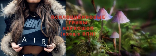 прущая мука Алапаевск