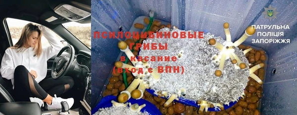 СК Надым