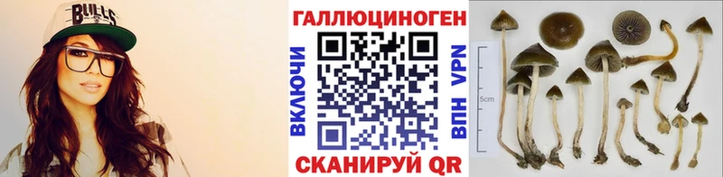 Псилоцибиновые грибы GOLDEN TEACHER купить наркотики цена hydra ТОР Ярцево
