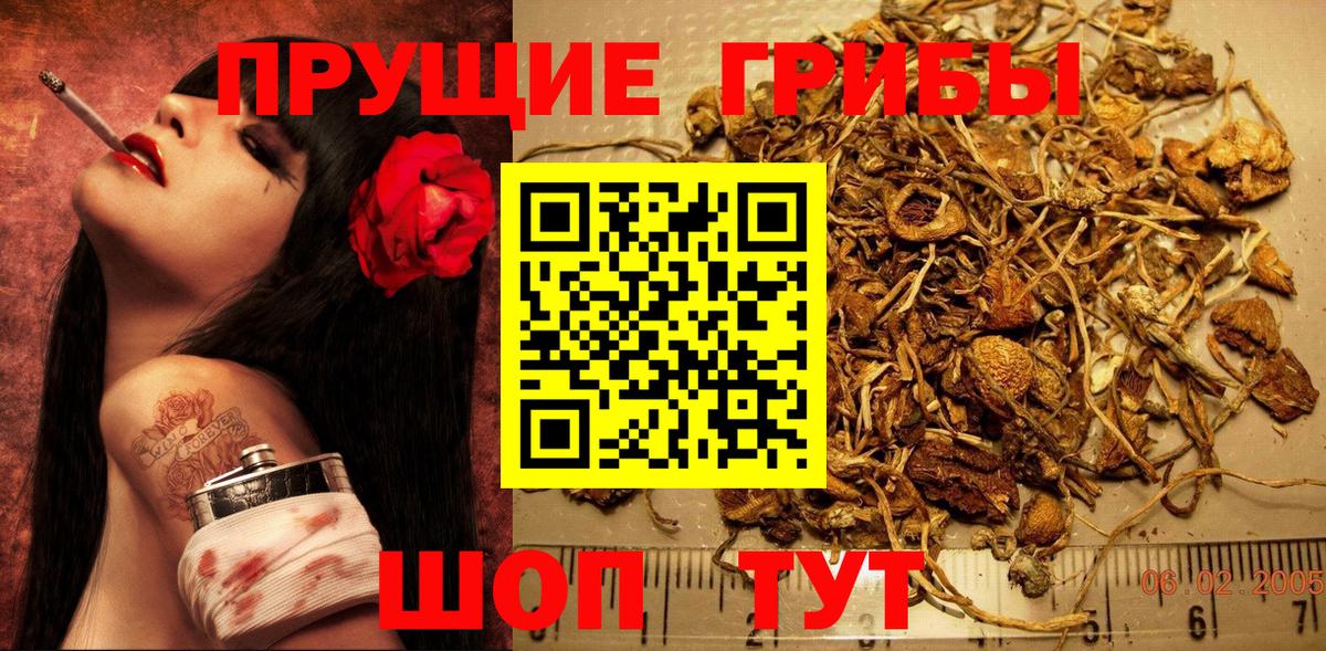 Галлюциногенные грибы Psilocybine cubensis  Вход с VPN  Ярцево  Псилоцибиновые грибы Magic Shrooms 